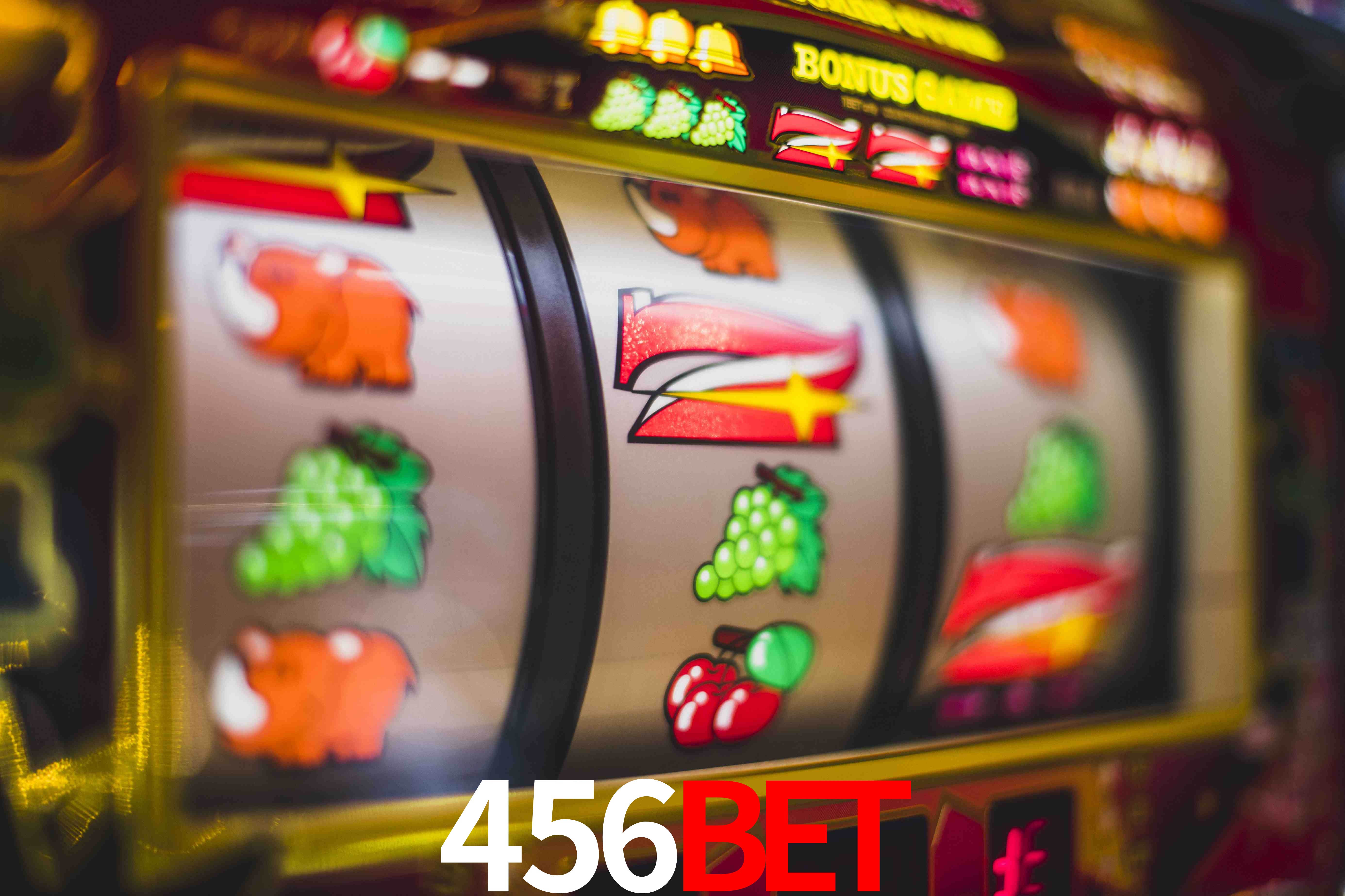 Sports Statistics 456Bet
